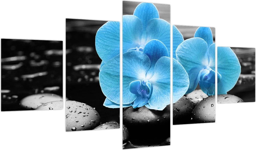 Obraz - Niebieska Orchidea (125x70 cm)
