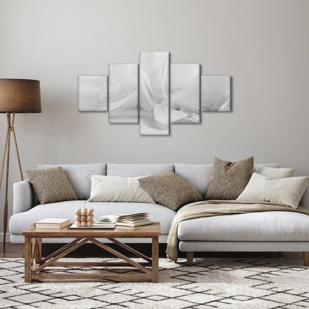 Obraz - Pióra (125x70 cm)
