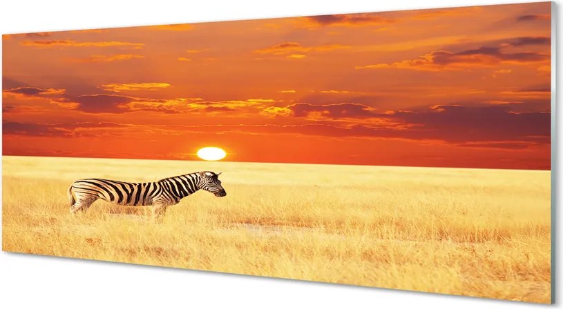 Panel nad Blat Kuchenny Zebra o Zachodzie Słońca