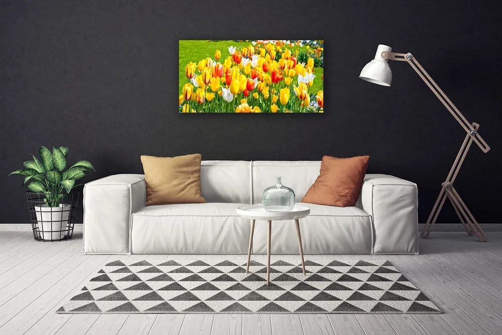 Obraz Canvas Tulipany Kwiaty Natura