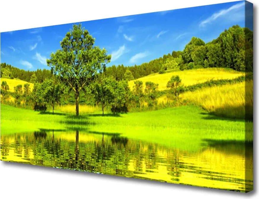 Zdjęcie na płótnie Samotne Drzewo na Polanie