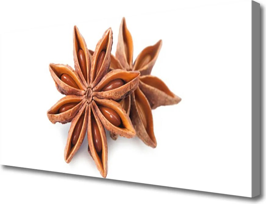 Fotoobraz na płótnie Aromat Gwieździstego Anyżu