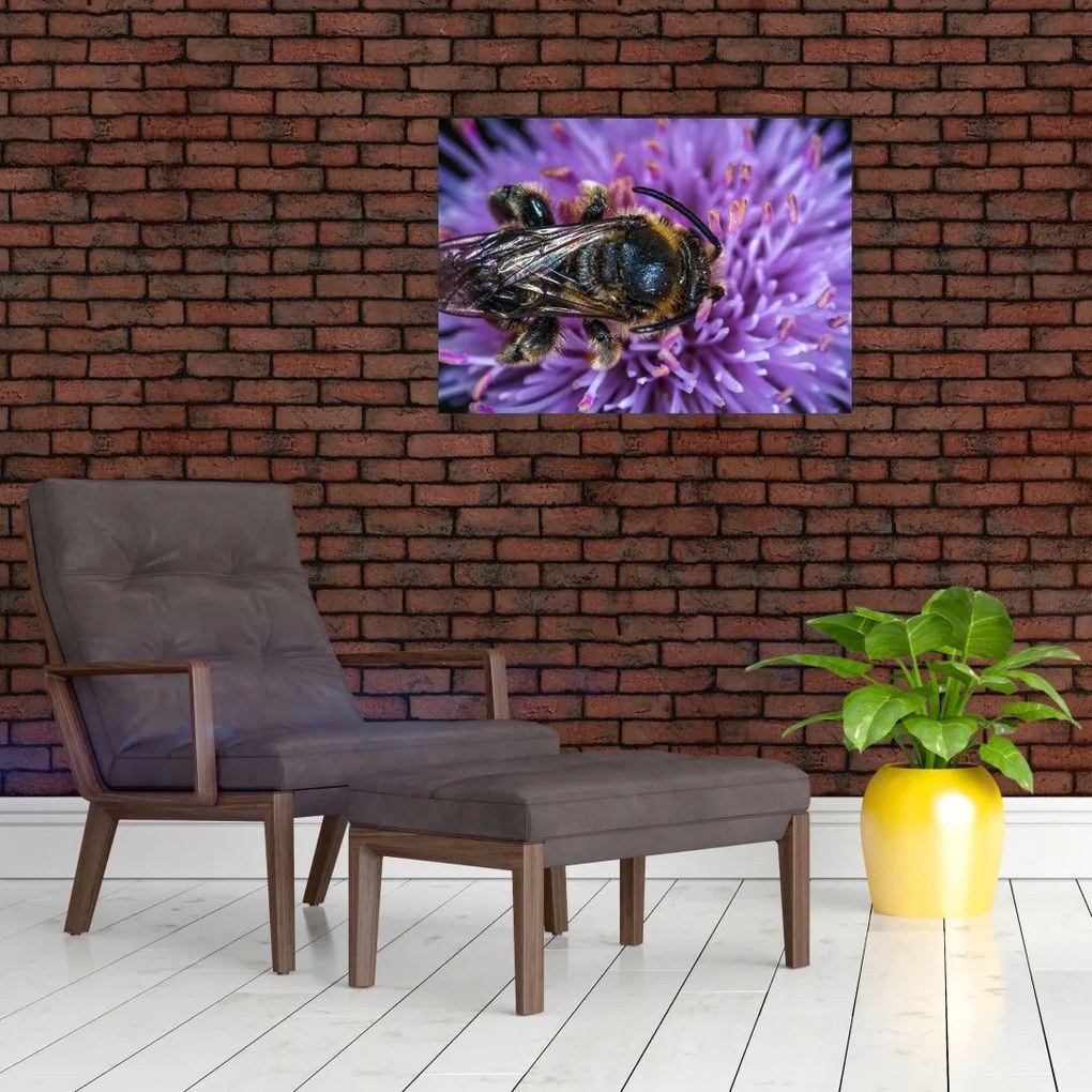 Obraz pszczoły na kwiatku (70x50 cm)