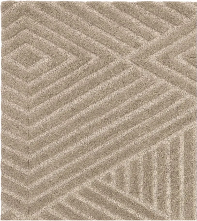 Jasnobrązowy dywan wełniany 200x290 cm Hague – Asiatic Carpets