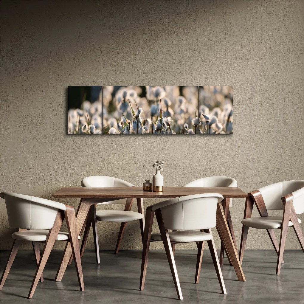 Obraz - Biała wełnianka (170x50 cm)