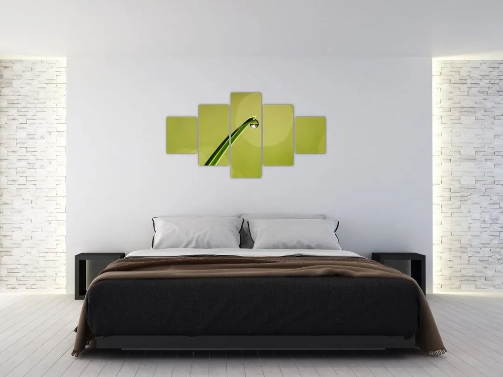 Obraz kropli wody na trawie (125x70 cm)