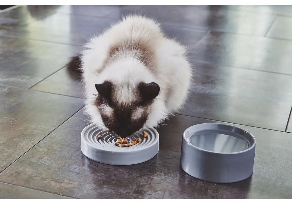 Porcelanowa miska spowalniająca jedzenie dla kotów ø 16 cm Piatto Concrete S – MiaCara