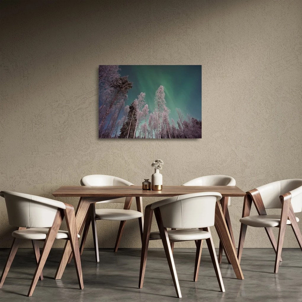 Obraz na szkle zorzy polarnej nad zamarzniętymi drzewami (70x50 cm)