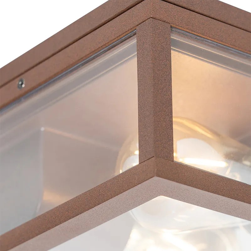 Zewnetrzna Industrialna lampa sufitowa rdzawo-brązowa IP44 2-światła - CharloisDesignerski Oswietlenie zewnetrzne