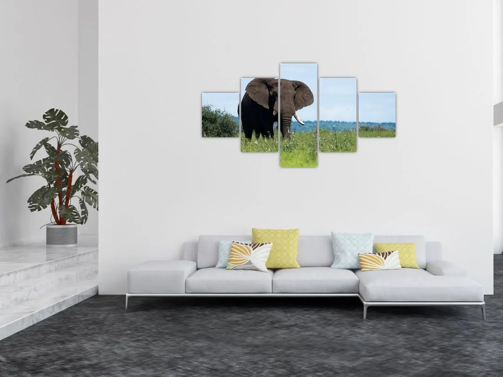 Obraz słonia (125x70 cm)