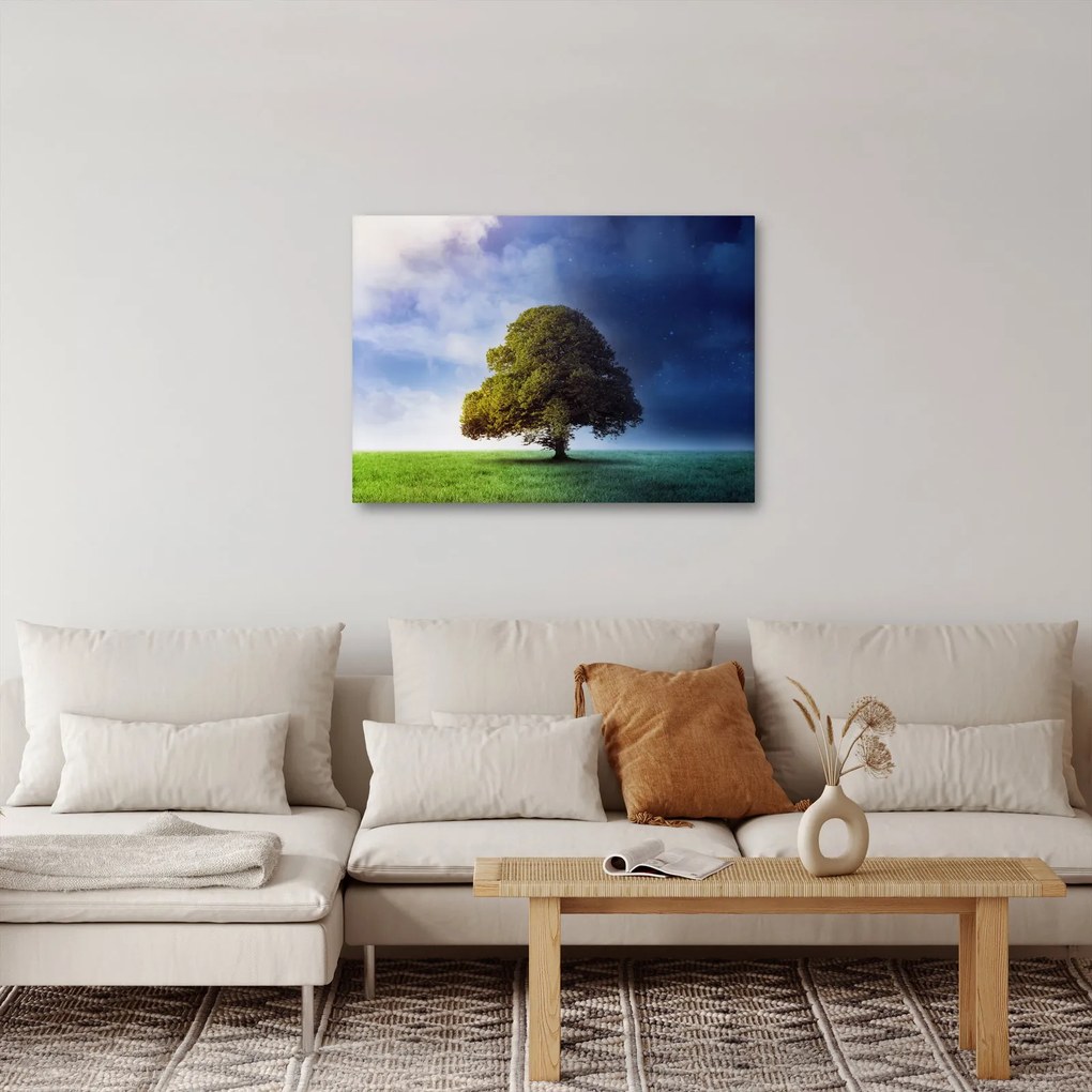 Obraz - Dzień i noc (70x50 cm)
