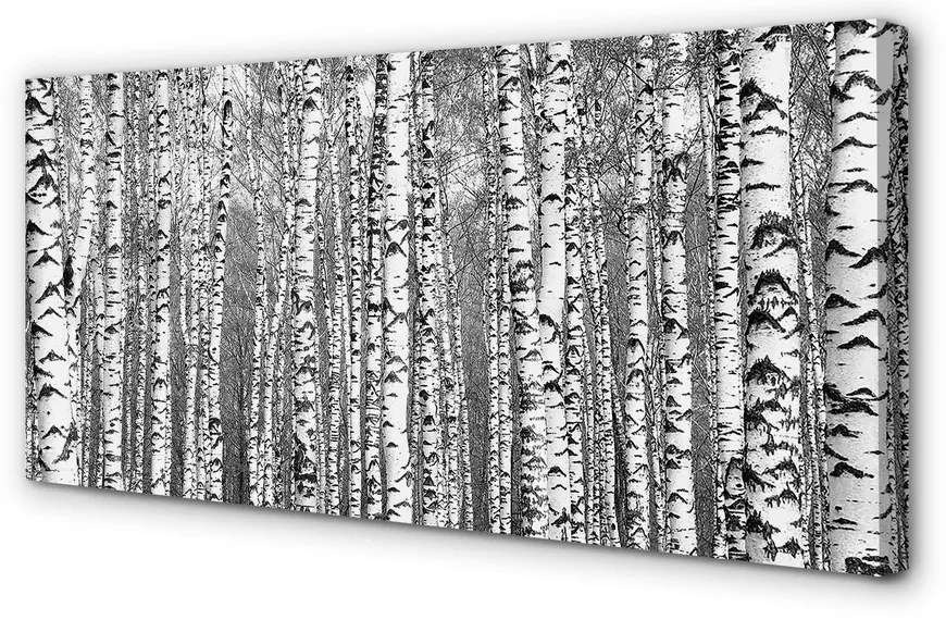 Obraz drukowany na płótnie Czarno-Białe Drzewa