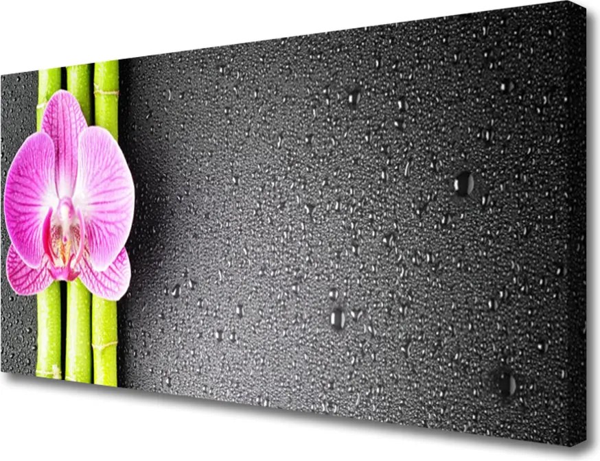 Zdjęcie na płótnie Duet Bambusa i Orchidei