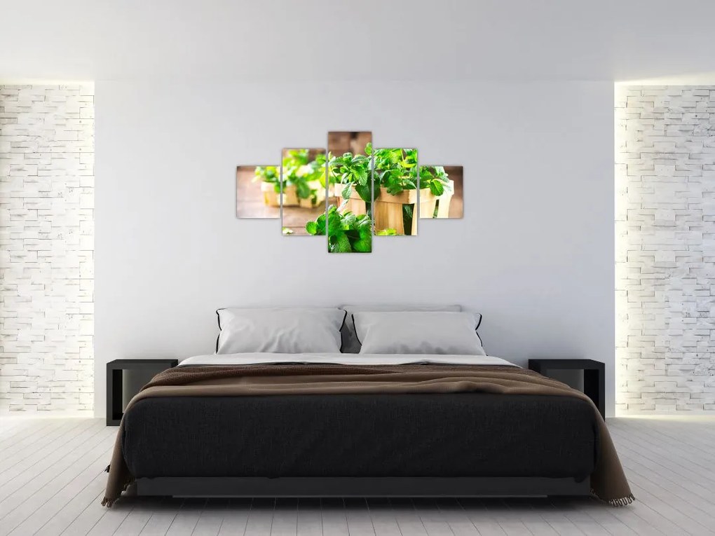 Obraz świeżej mięty (125x70 cm)