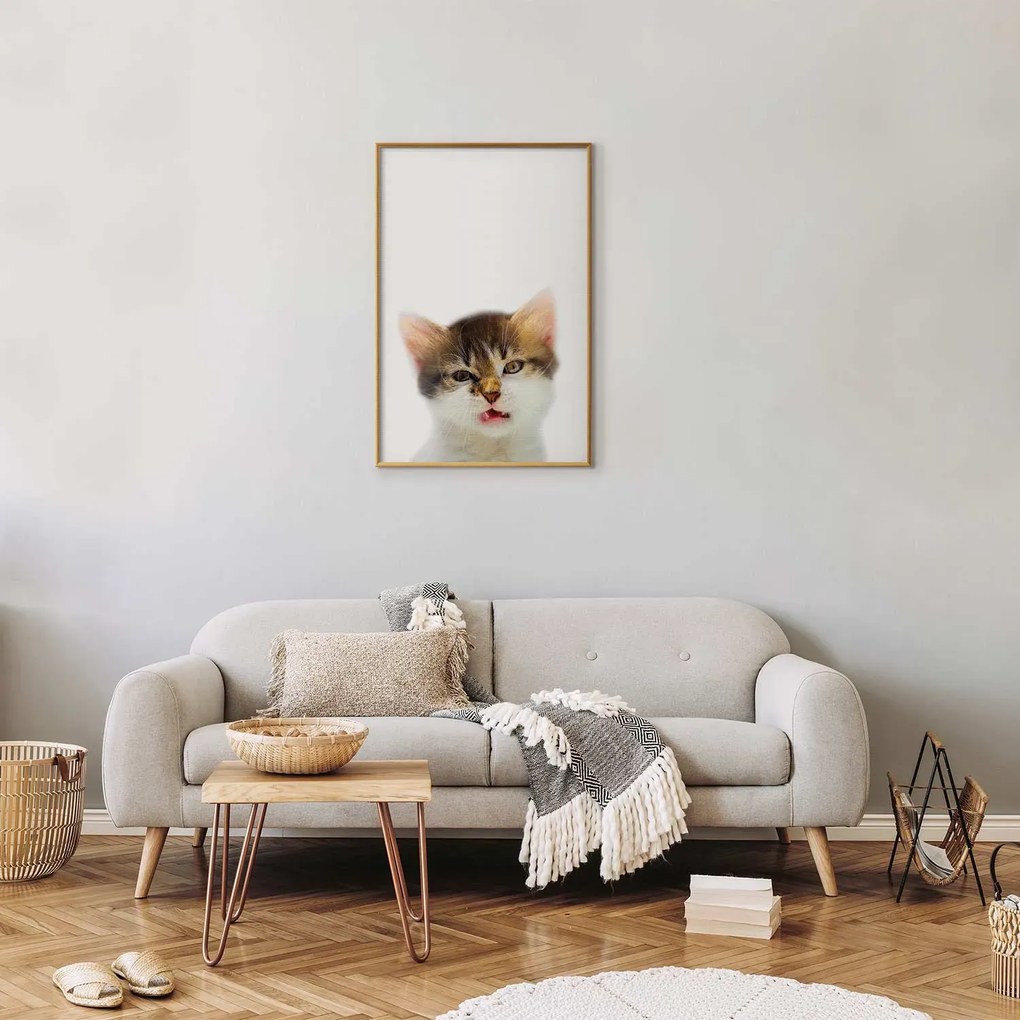 Plakat Zirytowany kot 40x60 cm z ramą złotą bez marginesu ARTGEIST B