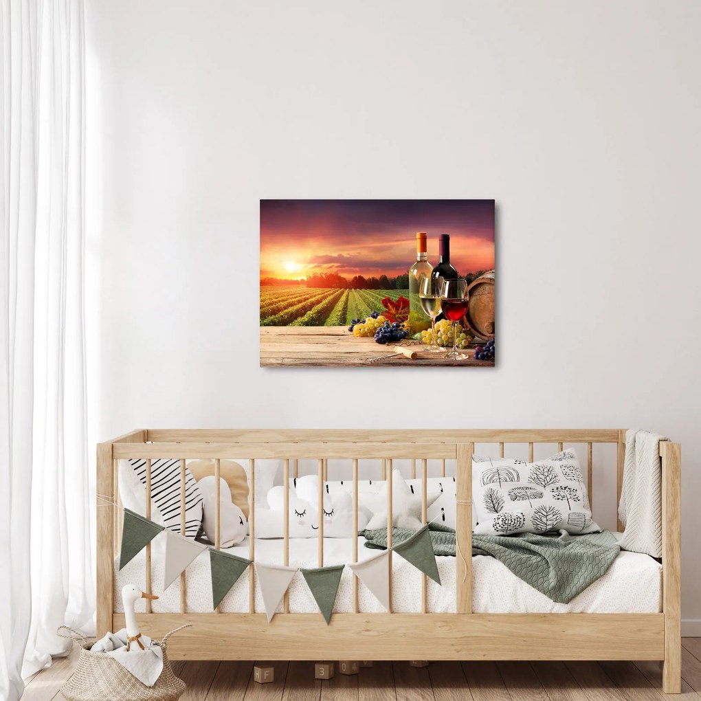Obraz winnicy z winem (70x50 cm)