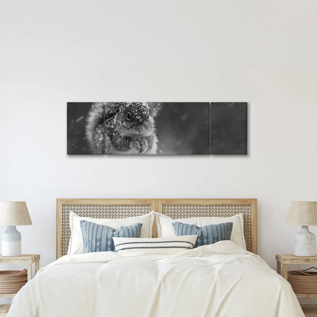 Obraz - Wiewiórka zimą (170x50 cm)