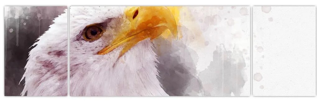 Obraz orła (170x50 cm)