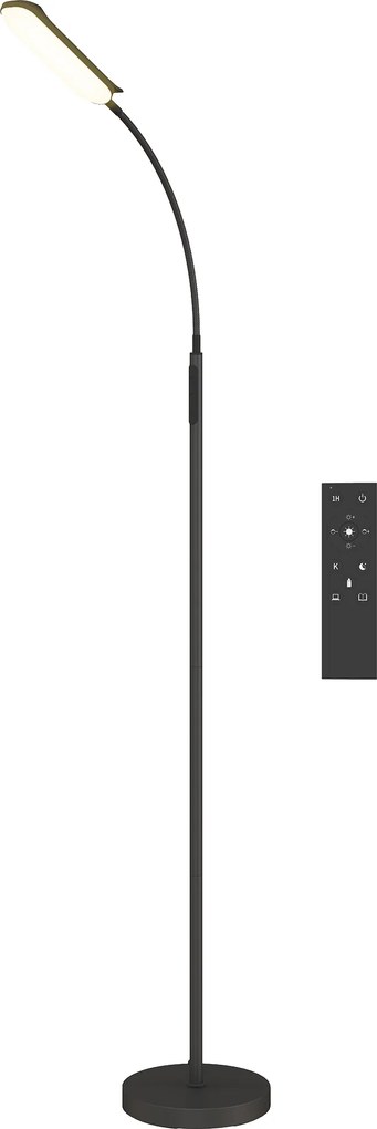 HOMCOM Lampa podłogowa LED, 5 trybów, funkcja pamięci, regulacja jasności, stal, czarny