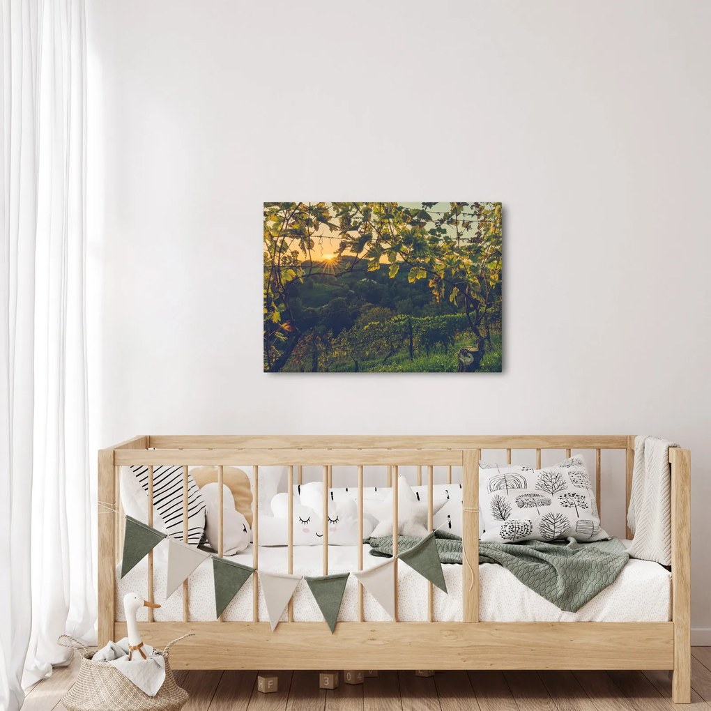 Obraz - Winnica (70x50 cm)