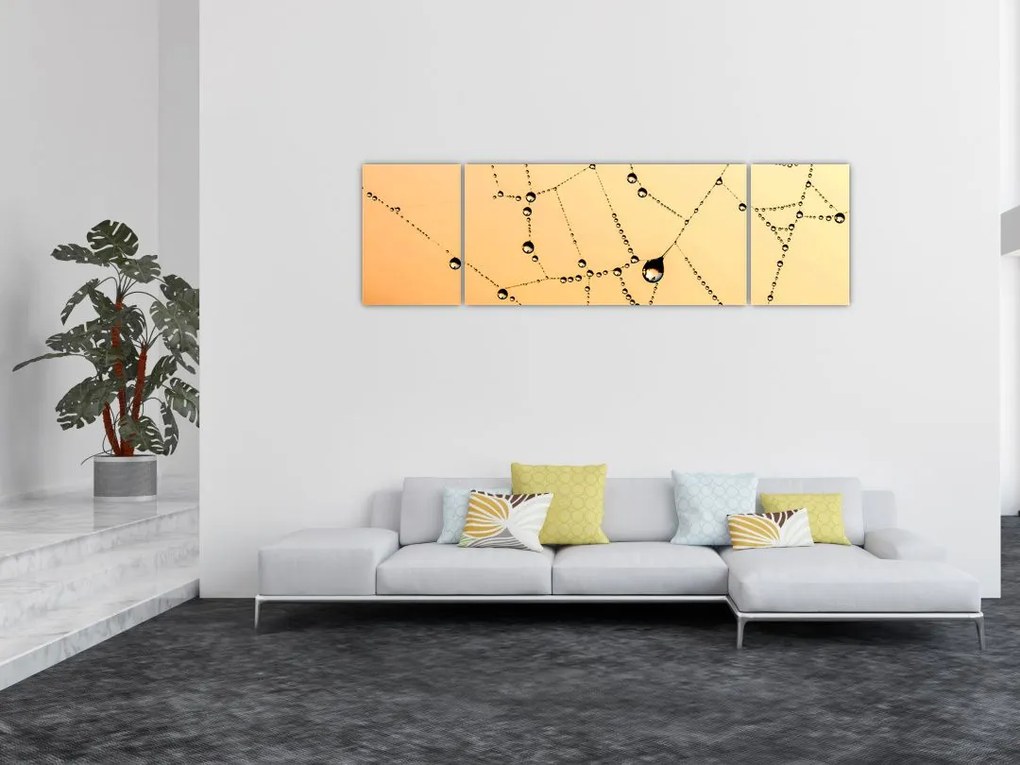Obraz zroszonej pajęczyny (170x50 cm)