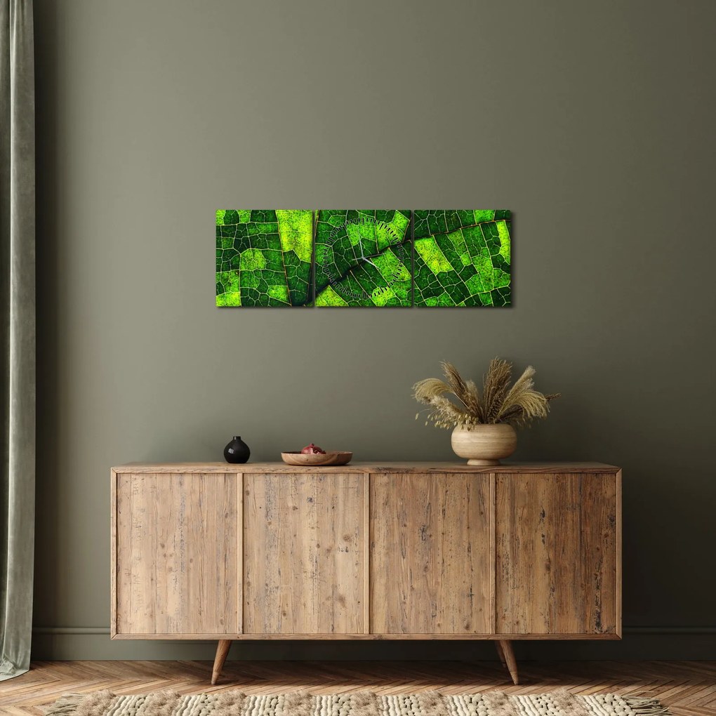 Obraz - Detal liścia (z zegarem) (90x30 cm)