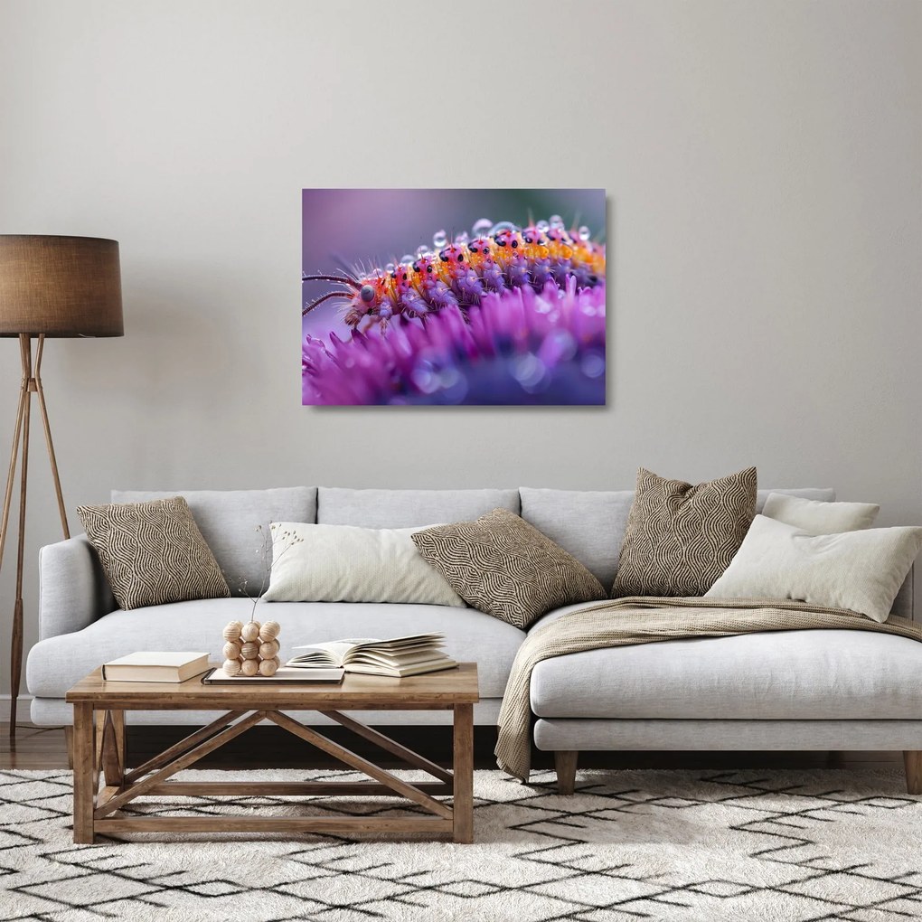 Obraz na szkle - Caterpillar (70x50 cm)