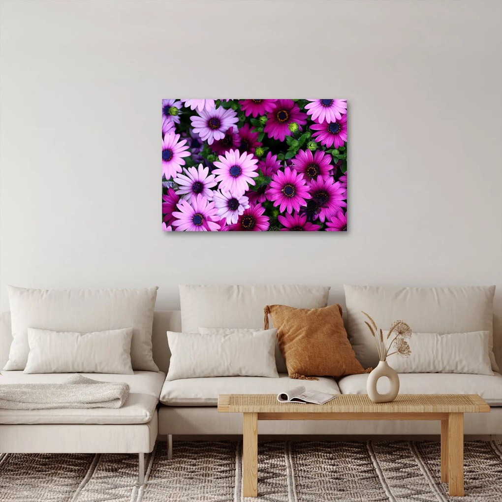 Obraz - Kwiaty (70x50 cm)