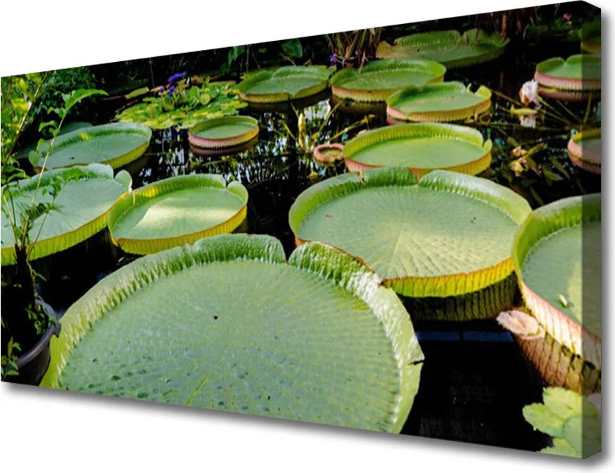 Obraz canvas Eteryczna Wizja Motyli i Piór