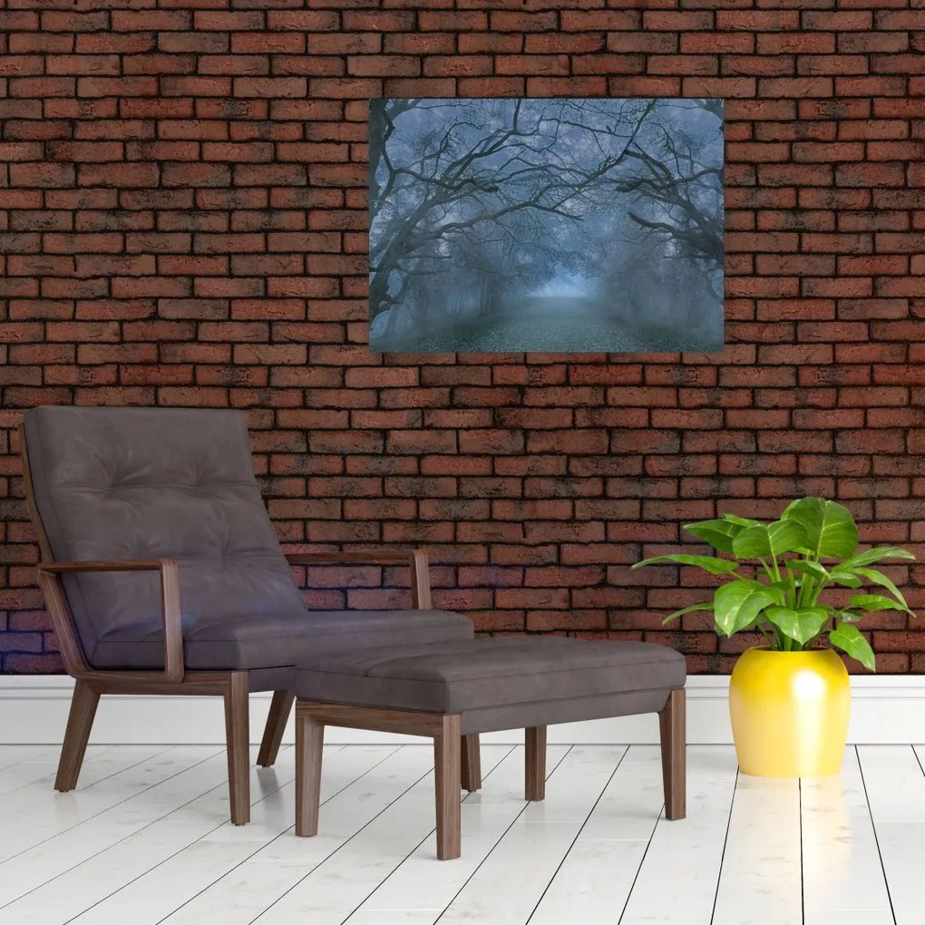 Obraz lasu we mgle (70x50 cm)