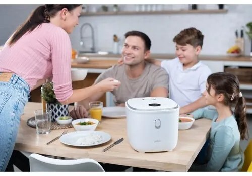 Lauben Low Sugar Rice Cooker 3000WT