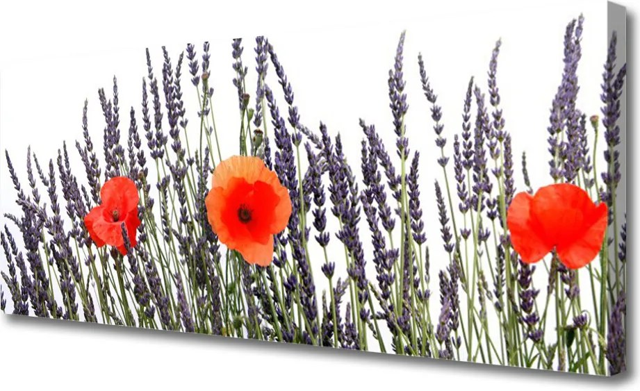 Obraz drukowany na płótnie Maki Tańczące na Wietrze