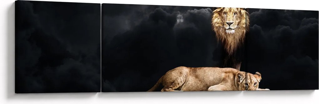 Obraz - Lew i lwica w chmurach (170x50 cm)