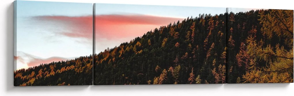 Obraz rudzików nad wzgórzem (170x50 cm)