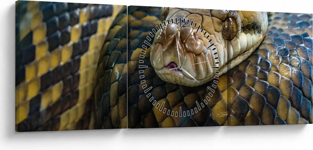 Obraz - Pyton (z zegarem) (90x30 cm)