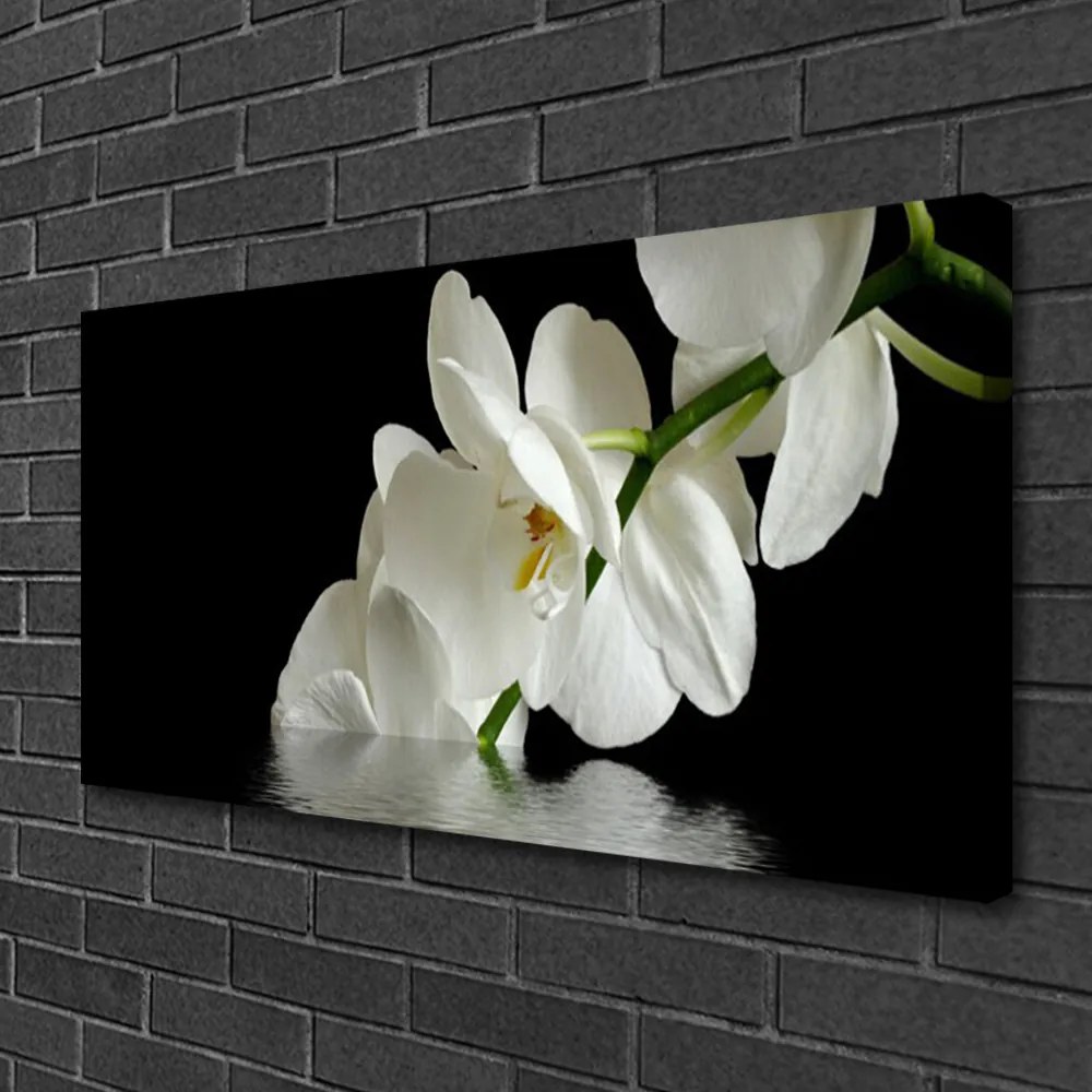 Obraz Canvas Orchidea w Wodzie Kwiaty