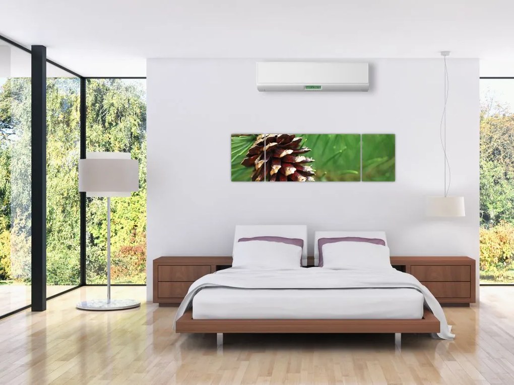 Obraz szyszki (170x50 cm)