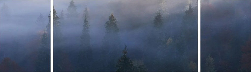 Obraz - Las we mgle, Karpaty, Ukraina (170x50 cm)