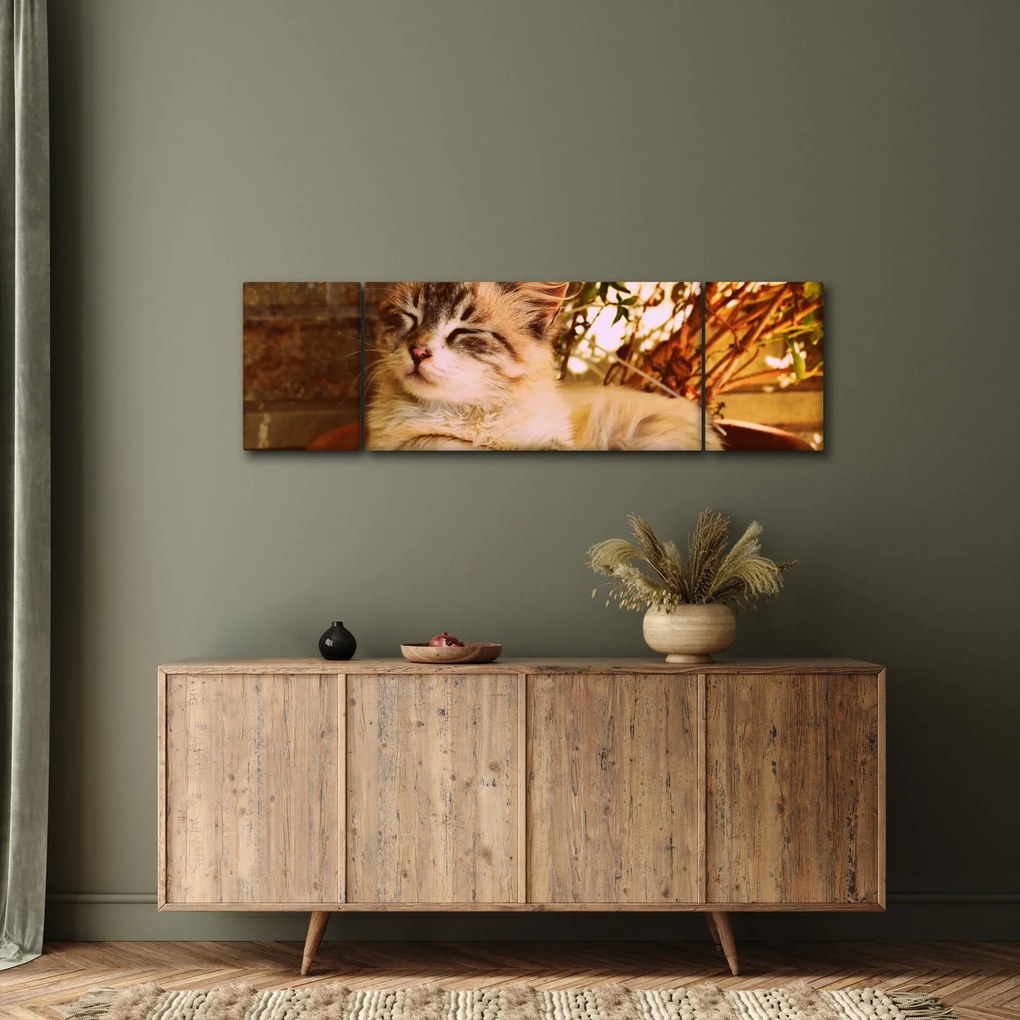 Obraz kota w doniczce (170x50 cm)