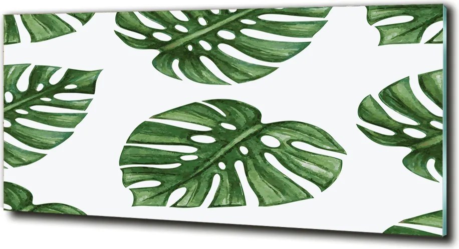 Foto obraz szkło hartowane Monstera