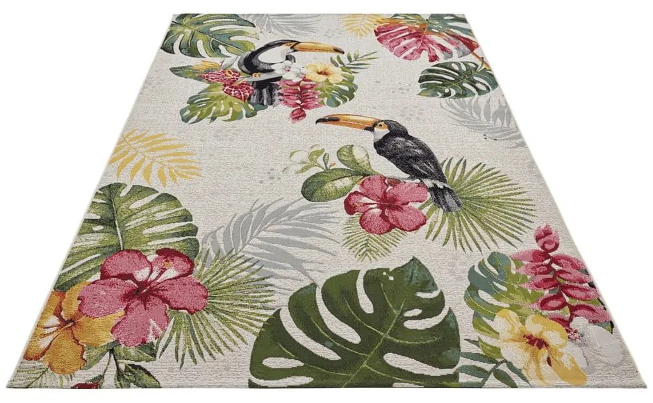 Dywan odpowiedni na zewnątrz 240x340 cm Flair – Hanse Home