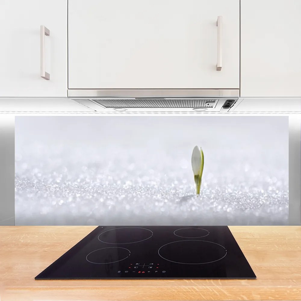 Panel Szklany Pierwsze Tchnienie Wiosny: Przebiśnieg