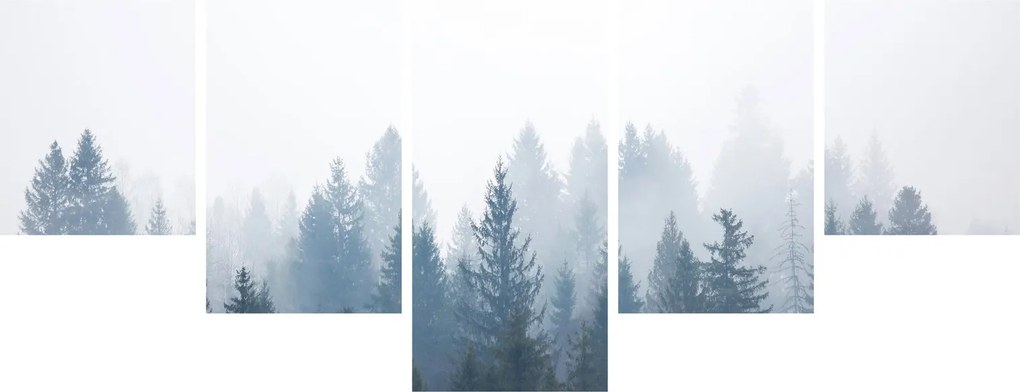 Obraz - Mglisty las (125x70 cm)