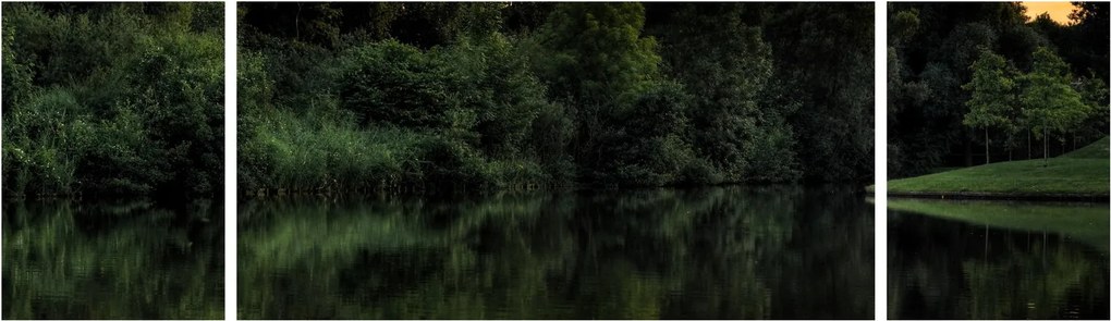 Obraz jeziora przy lesie (170x50 cm)