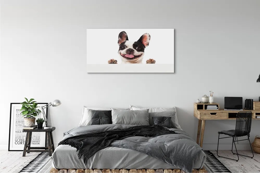 Obraz drukowany na płótnie Portret Psa