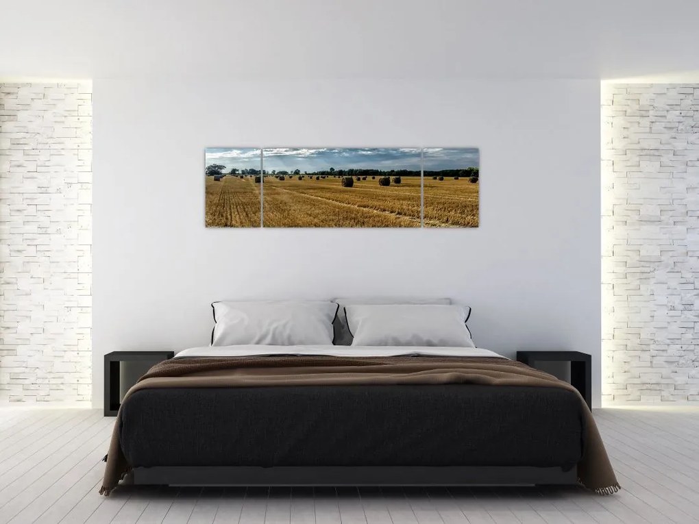 Obraz zebranego pola zboża (170x50 cm)
