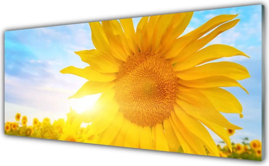 Panel Szklany Słonecznik w Pełnym Rozkwicie