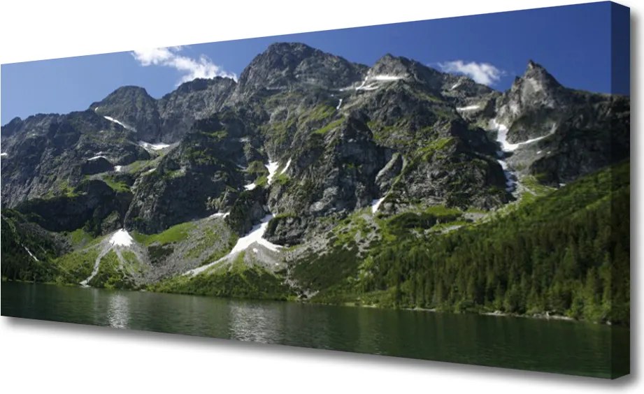 Zdjęcie na płótnie Panorama Alpejskiej Natury