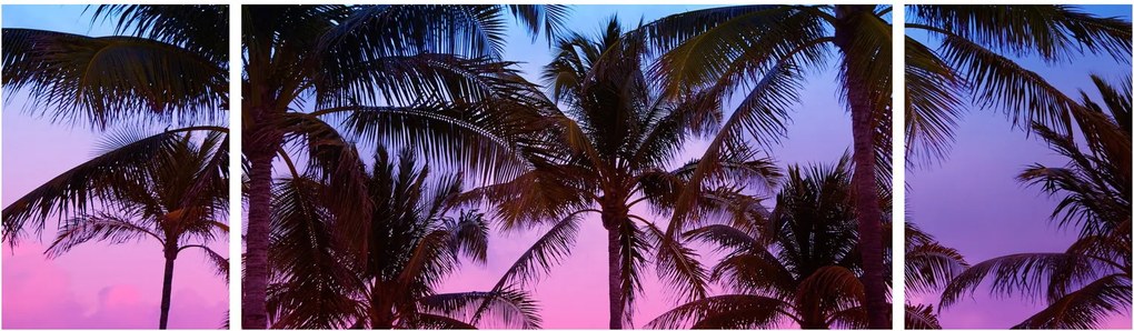 Obraz - Palmy w Miami (170x50 cm)
