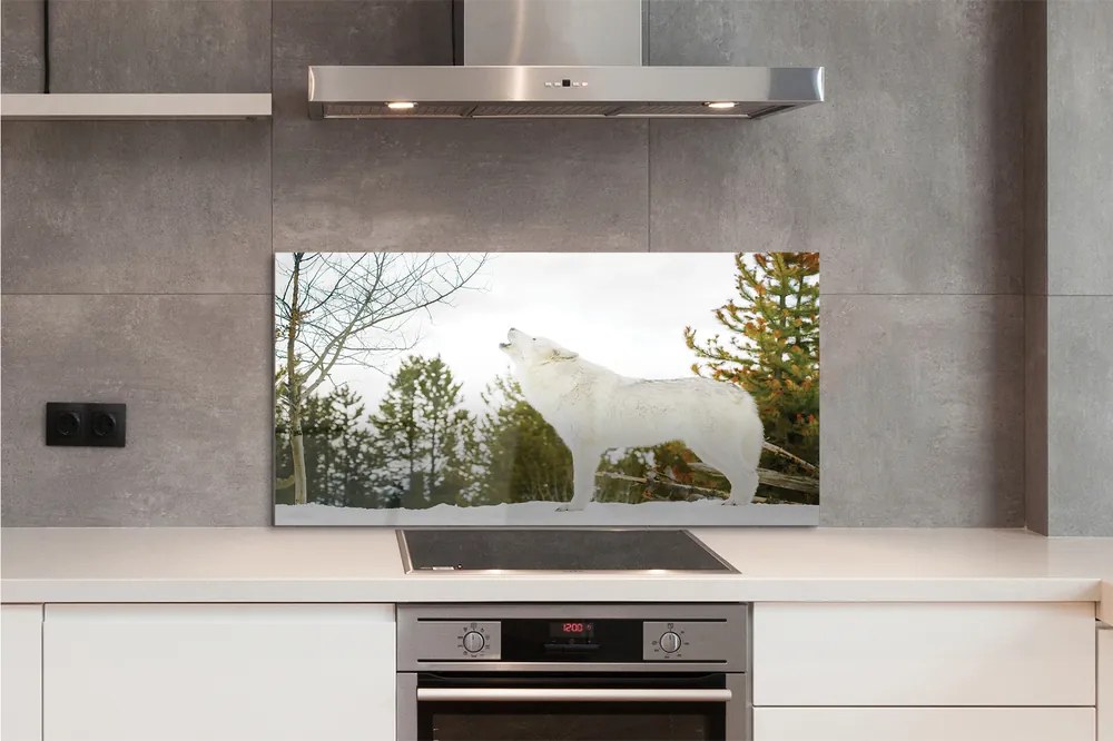 Panel nad Blat Kuchenny Wilk w Śnieżnej Puszczy